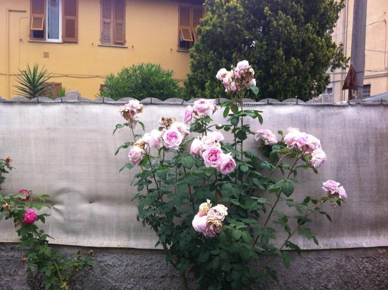 Solemare House Nearby Cinqueterre Villa La Spezia Cameră foto